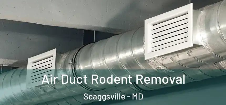  Air Duct Rodent Removal Scaggsville - MD