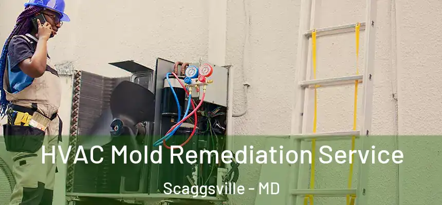  HVAC Mold Remediation Service Scaggsville - MD