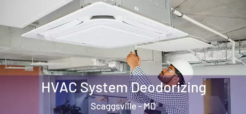 HVAC System Deodorizing Scaggsville - MD