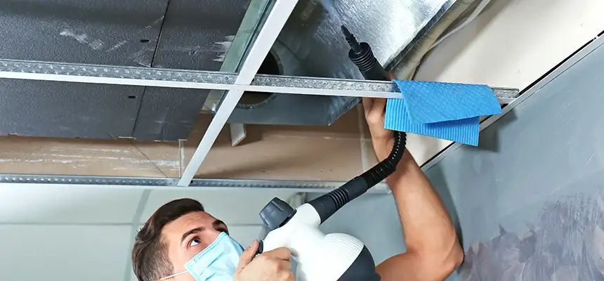 Our Air Duct Rodent Removal Services in Scaggsville, MD