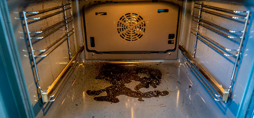 Our Dryer Vent Mold Cleaning Services in Scaggsville, MD