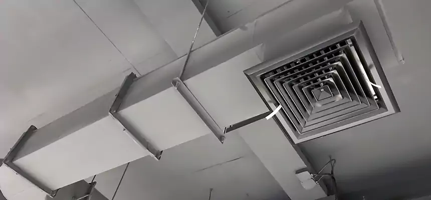 Our Pest Removal From Ducts Services in Scaggsville, MD