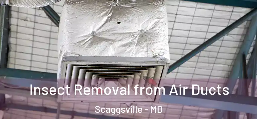 Insect Removal from Air Ducts Scaggsville - MD
