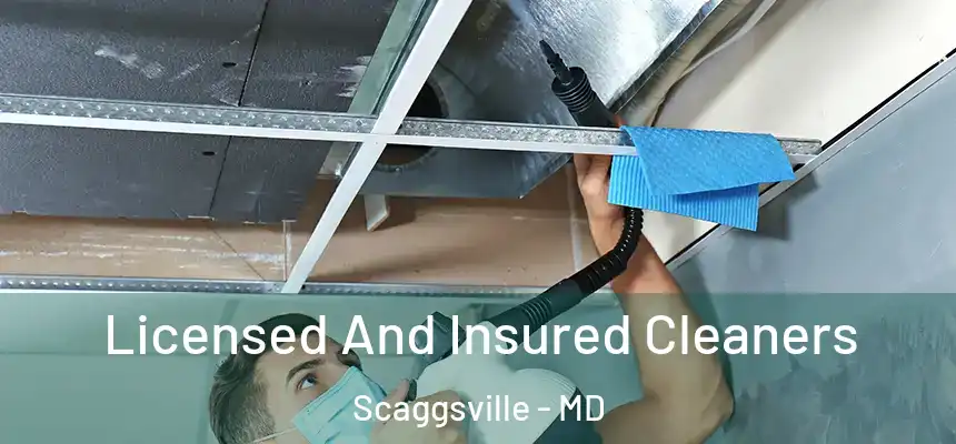 Licensed And Insured Cleaners Scaggsville - MD