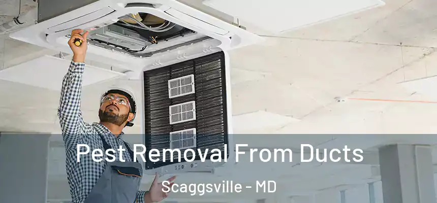 Pest Removal From Ducts Scaggsville - MD