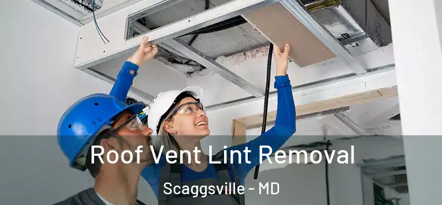 Roof Vent Lint Removal Scaggsville - MD