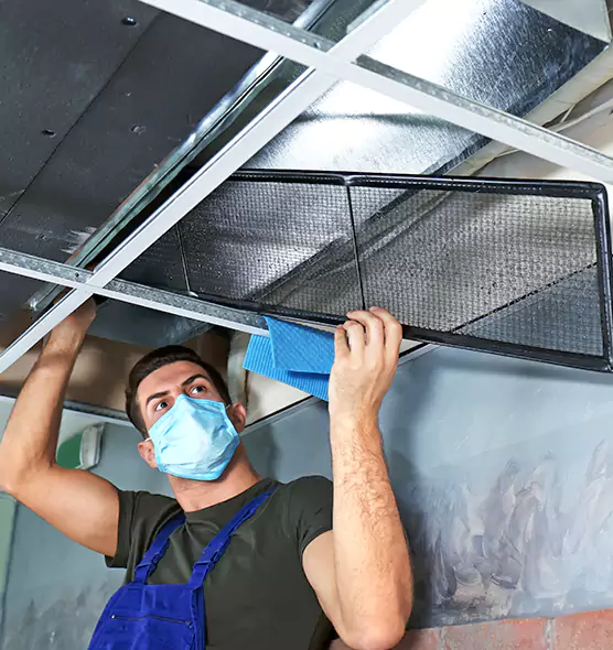 Professional Air Duct Pollen Cleaning in Scaggsville, MD