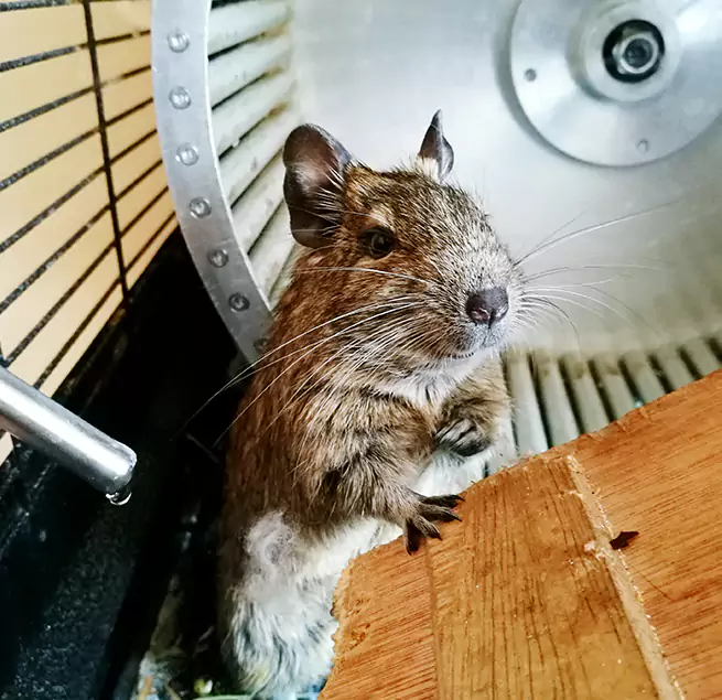 Why Homeowners & Businesses Trust Us Scaggsville, MD