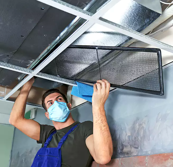 Why Homeowners Businesses Trust Us in Scaggsville, MD